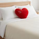 Red Heart Plush with "I LOVE YOU" Embroidery – Romantic Gift